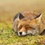 User avatar test3 Dou